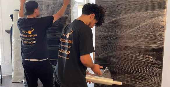movers in ottawa
